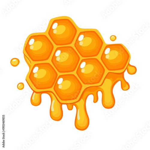 Honeycomb vector illustration with dripping honey isolated on white background.