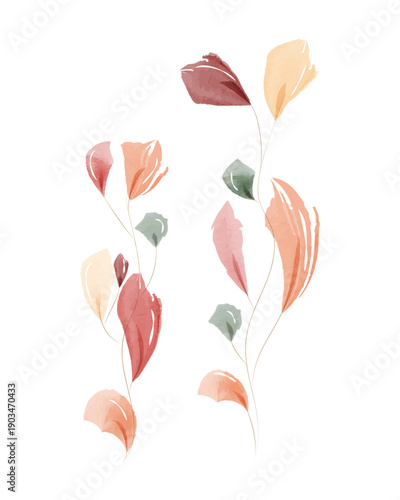 Two slender stems with many delicate watercolor leaves stand against a white background.