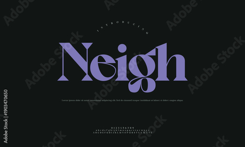 Neigh font, rustic and textured serif typeface, perfect for Western themes, country branding, or designs needing a vintage, handcrafted feel.