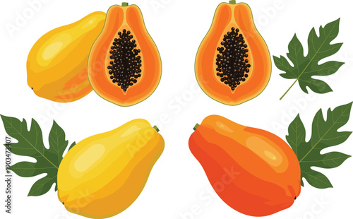 Papaya fruit illustration set featuring whole and sliced tropical fruits with leaves for healthy food and nutrition concepts