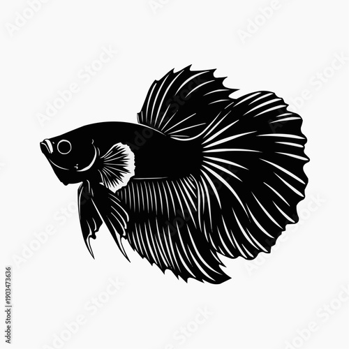 A striking black betta fish is depicted in profile showcasing its elaborate fins and features a silhouette