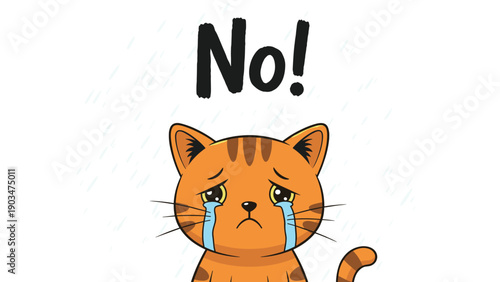A very sad and crying orange tabby cat looking miserable, with the word 'No!' written emphatically above its head.