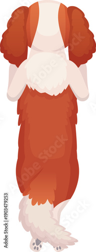 Cute spaniel rear view. Standing cartoon pet
