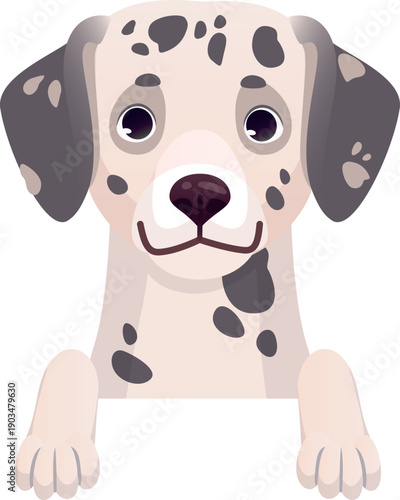 Cute dalmatian pet. Cartoon dog peeking character