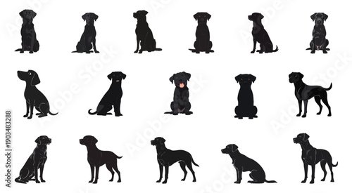 Black dogs in various poses.