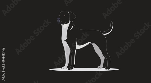 Black dog in a standing pose. Vector.