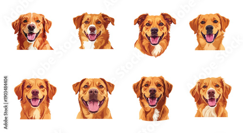 Red-faced dog costume. Vector illustration.