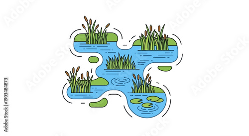 Stylized illustration of a wetland pond with cattails and water lilies on a white background, featuring green islands.