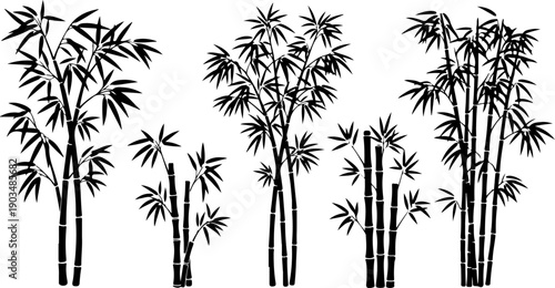 Bamboo plants swaying gently in the wind, serene landscape illustration from a frontal viewpoint, 7.eps reference