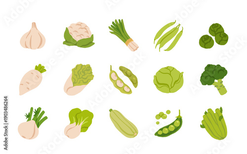 Flat Cartoon Vegetable Set. Fresh Farm Vegetables Icons Collection, Colorful Healthy Food Illustration, Organic Veggies Vector for Market, Menu, Packaging