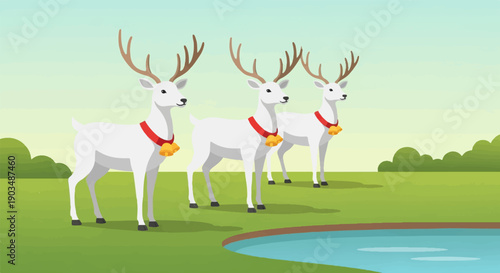 Three white reindeer with bells on red collars stand in a grassy field