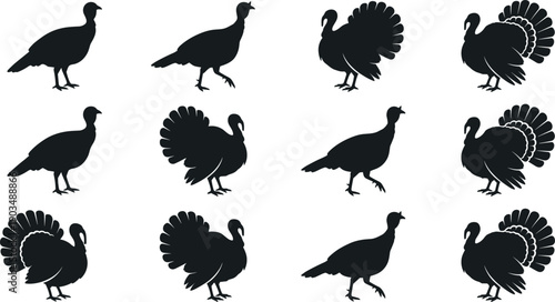Turkey Silhouettes Collection Showing Farm Poultry Birds in Multiple Poses Black Vector Illustration for Agriculture Design Use