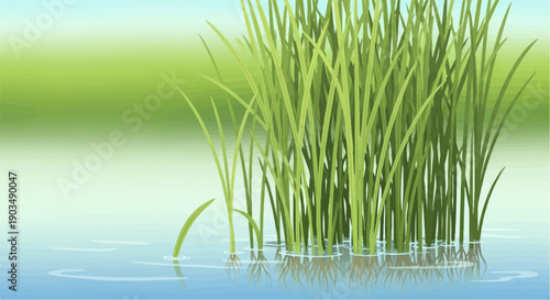Tall green grass emerges from serene blue water with soft green backdrop