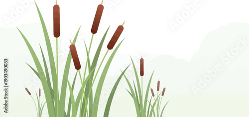 Tall, slender cattails sway in a soft, hazy, pale green environment