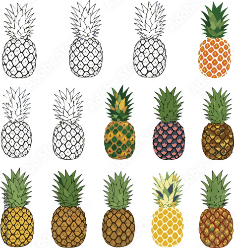 kinds of dferent vector art wiih white background pinappal photo