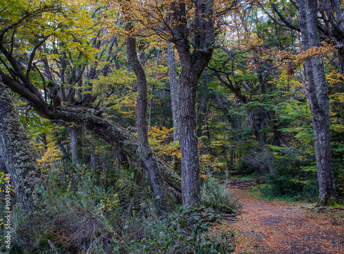 naturaleza argentina