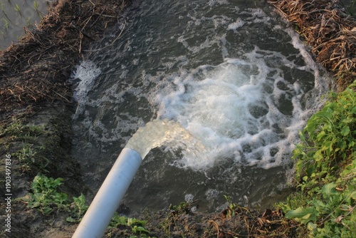 Wallpaper Mural Water flowing from pipe for field irrigation Torontodigital.ca