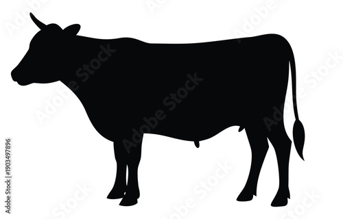 black silhouette of a cow