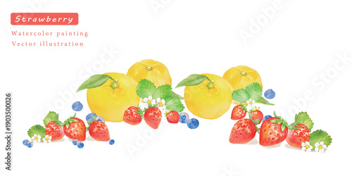 水彩で描いたイチゴとグレープフルーツのベクターイラスト	