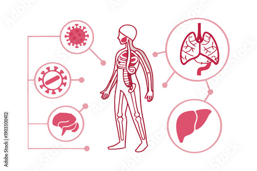 Human Body Virus Impact Medical Infographic Illustration