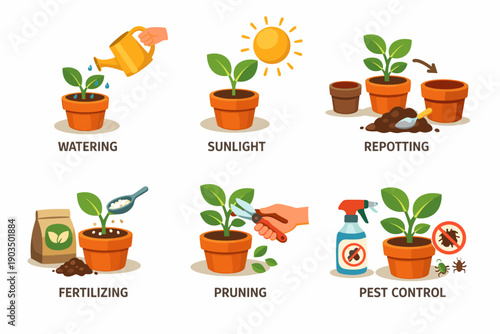 Essential steps for healthy plant care: watering, sunlight, repotting, fertilizing, pruning, pest control