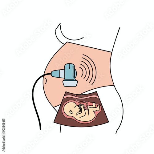 Pregnant Belly with Ultrasound Scan