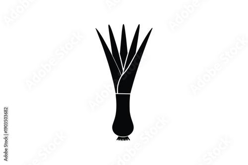Fresh leek vegetable silhouette showing tall green stalks and white bulb base for healthy cooking illustration