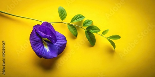Wallpaper Mural Vibrant Purple Flower and Green Leaves on Sunny Yellow Background A Botanical Still Life Study Torontodigital.ca