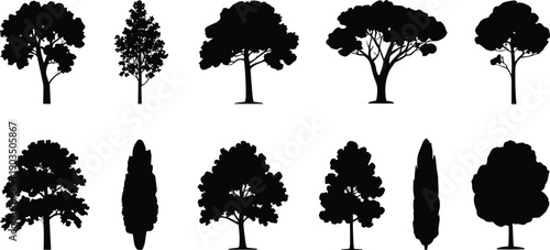 Silhouette collection of diverse tree shapes with unique canopy trunks foliage design for nature landscape botany environment vector illustration set