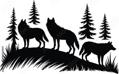 Photography Silhouette wolves standing on hill with pine trees, forest grass, wildlife natur