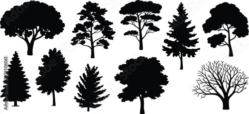 Tree silhouette illustration featuring ten different species with diverse shapes, foliage, branches, coniferous and deciduous designs for nature vector artwork background