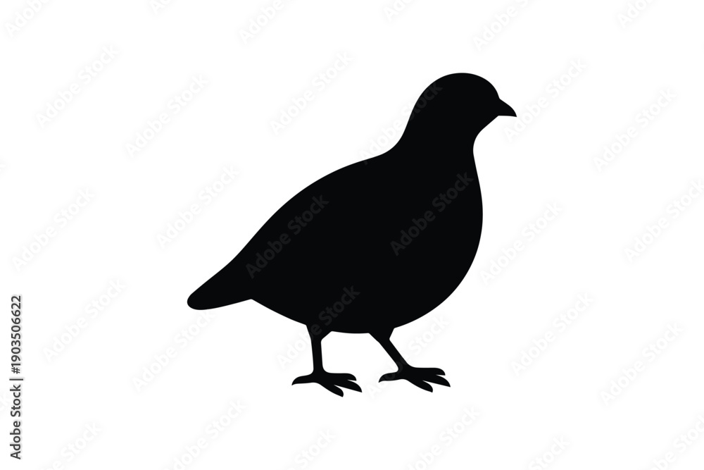 Obraz premium Black silhouette of small bird standing, with rounded body and short legs on white background