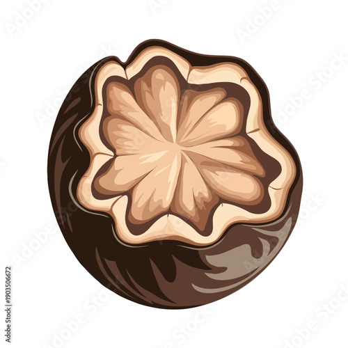 A close-up view of a delicious chocolate dessert with a star-shaped caramel topping. isolated on white background, Vector, illustration