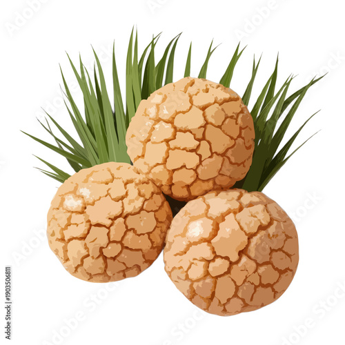 Three freshly harvested pineapples with green leaves on a white background isolated on white background, Vector, illustration