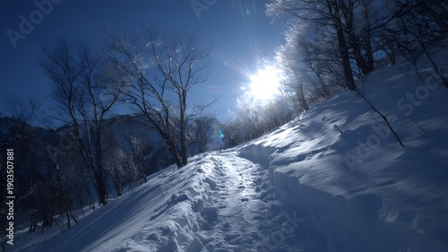 Snowy Mountain Slope with Sun Shining Through Bare Trees in Winter Landscape