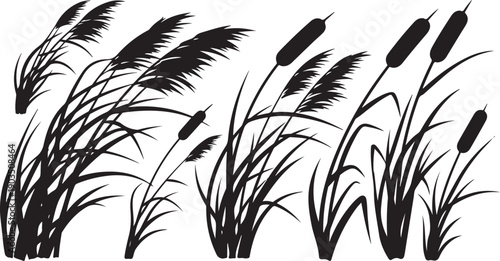 Black Silhouette of Cattails and Reeds on White Background