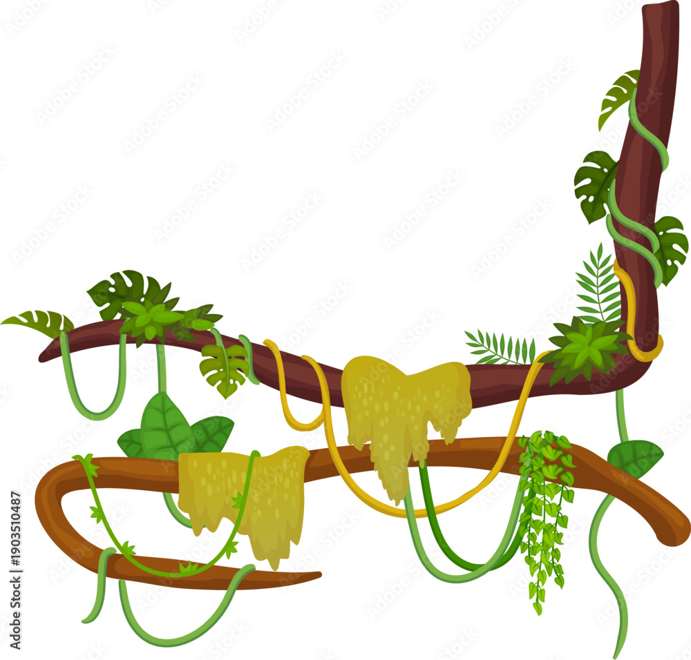 Obraz premium Tropical tree corner with greenery hanging. Climbing creepers