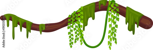 Jungle border with exotic greenery. Wild nature branch