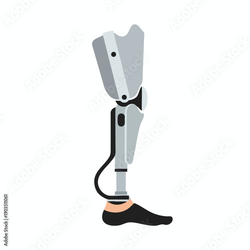 Illustration of a Prosthetic Leg