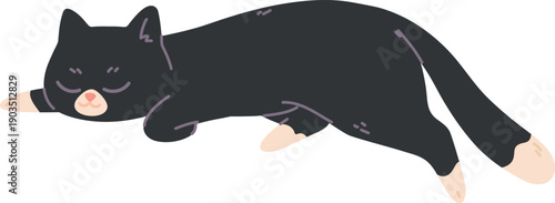 Sleeping cat. Resting animal icon. Black pet