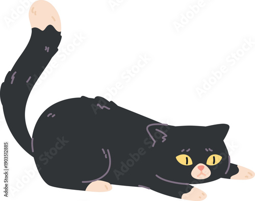 Cat ready to jump pose with lifted up tail