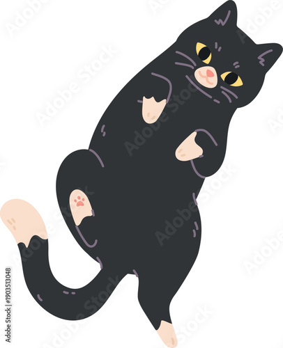 Cute cat lay on back. Adorable black pet