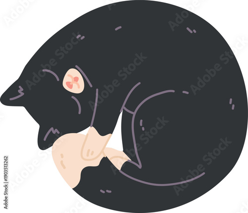 Cat lay in circle. Curled up pet color icon
