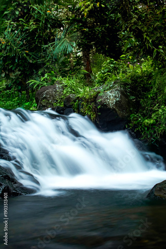 Smooth flowing waterfall in lush green tropical forest