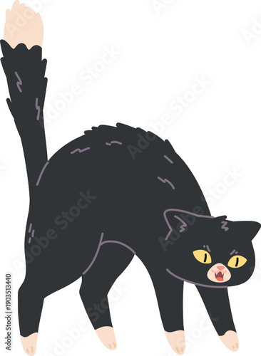 Scared cat hissing. Angry pose. Pet character