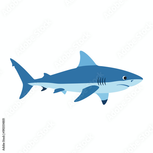 Illustration of a blue shark on white background