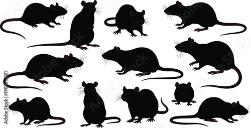 Silhouette collection of black rats in various poses, isolated rodents, pest animal vector, cartoon style illustration for wildlife design