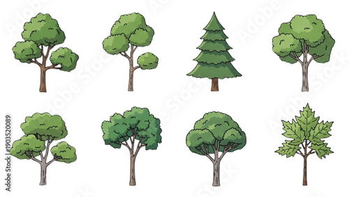 Collection of various trees illustration from different viewpoints in a natural setting