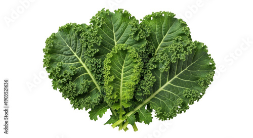 Tableau sur toile Fresh green kale leaves isolated PNG, healthy leafy vegetable with curly edges f