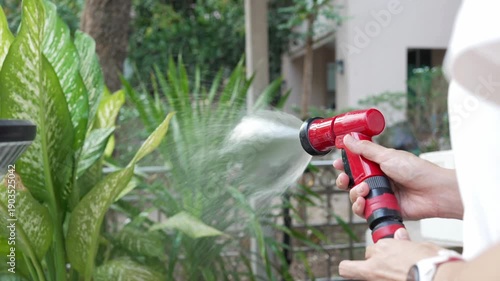 Woman watering plants in her garden. Urban gardening watering fresh vegetables nature and plants care